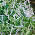 たけなお☆'s cooksnap of when they made 豆苗ときのこの中華和え(レンジで).