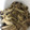 クックLBN3YE☆'s cooksnap of when they made きのこの旨味たっぷり！キノコのマリネ！.