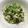 まゆぽんた。's cooksnap of when they made 豆苗 ツナのマヨたま炒め.