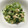まゆぽんた。's cooksnap of when they made 豆苗 ツナのマヨたま炒め.