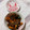 えりりんちゃん♡'s cooksnap of when they made 男子も喜ぶ☆かぼちゃと豚の炒め物.