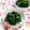 ｍａｒｉ♪'s cooksnap of when they made 簡単♡ケールのごま塩炒め♪.