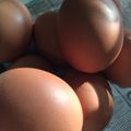 クックEORLBR☆'s cooksnap of when they made 究極 電気圧力鍋でゆで卵の殻を綺麗に剥く.