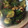 ロリポップ☆'s cooksnap of when they made 胡瓜と塩昆布のごま油和え.