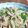 こともみ's cooksnap of when they made 野菜たっぷり♥青椒肉絲☆.