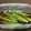 Kikuk0_66c's cooksnap of when they made めんつゆで夏野菜たっぷり煮浸し♪.