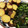 クックCBMLPV☆'s cooksnap of when they made さつまいもと昆布のサッと煮.