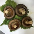 ikunone's cooksnap of when they made 香りを楽しむ♪シンプル椎茸の醤油焼き.