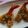 柚希星菜's cooksnap of when they made サクっともう一品、エビのパン粉焼き.