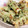 ☆いちごキティ☆'s cooksnap of when they made 竹輪の磯辺揚げ.