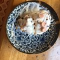 クック3YSN83☆'s cooksnap of when they made 誕生日☆アンパンマンケーキ.