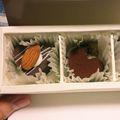 美凜舞's cooksnap of when they made バレンタインに♥秘密のティラミスショコラ.
