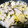クック1TLFG0☆'s cooksnap of when they made 大根と玉子きくらげの中華風炒め.
