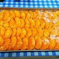 ととろ＆めい's cooksnap of when they made 固めるだけ！簡単みかんシャーベット.