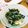 abeman's cooksnap of when they made ほうれん草としらすの小鉢.
