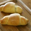 rakuen's cooksnap of when they made 塩バターロール①★白神こだま酵母ドライ.