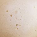 雨野汐's cooksnap of when they made レンジで蒸しパン♪.