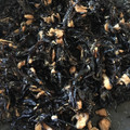 ayako_ko's cooksnap of when they made 鶏のさっぱり煮リメイク！ひじき蒟蒻の煮物.