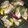 弁当男子のまーちん's cooksnap of when they made 濃厚な旨味はお酒に◎！牡蠣のコンフィ.
