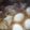lastorder＊'s cooksnap of when they made 手羽元甘辛煮♪生姜風味.