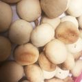 オジリメシ's cooksnap of when they made 綺麗になれちゃう『ブールドネージュ基本』.