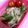 ゆきさいとう's cooksnap of when they made ＊サラダチキンで♪*棒々鶏風中華和え＊.