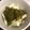 e.kinako's cooksnap of when they made 春の味！　ウドとめかぶの酢の物.