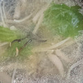 MIKOさん's cooksnap of when they made きのこと野菜のスープ.