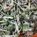 ゾウさんim's cooksnap of when they made 水菜と蓮根の胡麻マヨネーズサラダ♡.