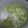 枝っち's cooksnap of when they made 白菜のフォー.