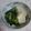 イチゴ、イチゴ。's cooksnap of when they made 小松菜と豆腐の煮込み.