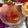 ゆうあやまま☆'s cooksnap of when they made しんぷるトマト.