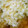 とっとっとまとちゃん's cooksnap of when they made 鮭と長芋のあんかけ蒸し.
