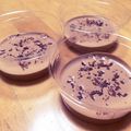 かほトトLOVE's cooksnap of when they made ふんわり濃厚チョコムース.