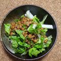 nosso's cooksnap of when they made 切って混ぜるだけ白菜と納豆の簡単サラダ.