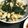 ミルクガラス's cooksnap of when they made ほうれん草と鶏胸肉のオイマヨ炒め.