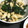 ミルクガラス's cooksnap of when they made ほうれん草と鶏胸肉のオイマヨ炒め.