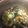 Ripanda's cooksnap of when they made わかめとコーンの中華スープ.