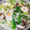 ルイボスミルクティー's cooksnap of when they made 具がたっぷり 我が家の鍋焼きうどん.
