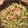 くまさいこ's cooksnap of when they made やみつき豆苗もやし.