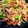 ぶっちー☆☆'s cooksnap of when they made 牛肉と野菜の細切り炒め〜青椒肉絲〜.