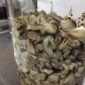 minami714's cooksnap of when they made キノコの塩漬け(保存食).