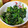 ma04tsu's cooksnap of when they made 子供も大好き！甘めなほうれん草のごま和え.