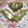 のむかん's cooksnap of when they made 紅しょうがと青さ粉の卵焼き.