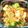 tomoka0314's cooksnap of when they made 鶏肉のくるみ炒め.