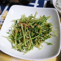 ＴＯＭＯＷＡＴ's cooksnap of when they made 家計の味方♪豆苗のごま和え.