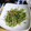 ＴＯＭＯＷＡＴ's cooksnap of when they made 家計の味方♪豆苗のごま和え.