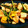 Eggplant23's cooksnap of when they made 芋と南瓜と鶏肉の揚げ煮.