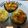 ユキぽっちん's cooksnap of when they made しいたけのマヨチーズ焼き.