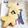アロイ☆'s cooksnap of when they made ザクザク♪さつまいもクッキー.